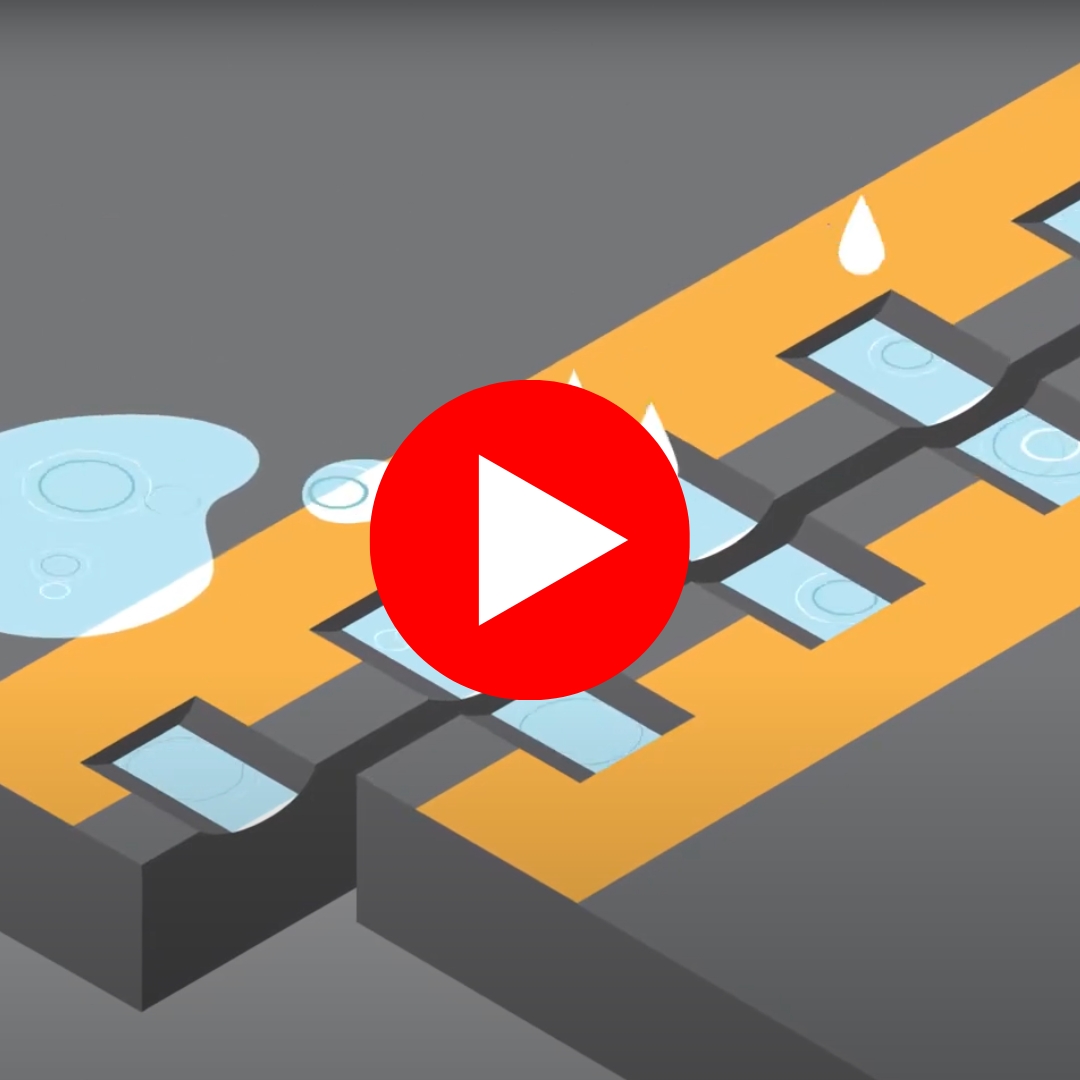 Protecting Rumble Strips Video Thumbnail